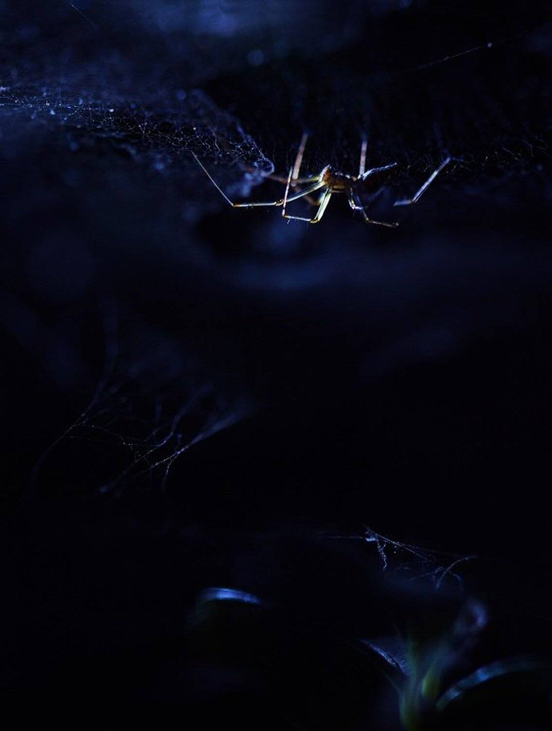 , Александр Журавлёв