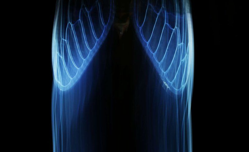 перо photo preview