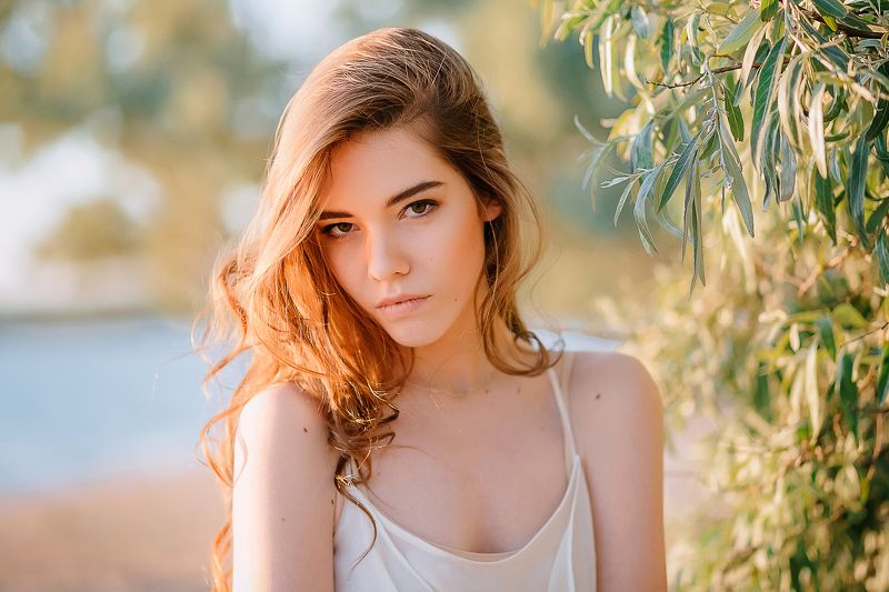 Портрет в маслинеphoto preview