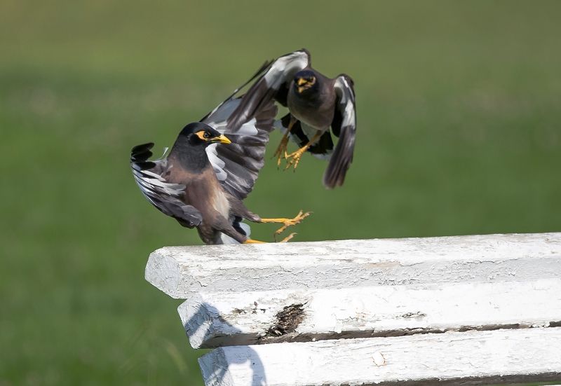 это мое местоphoto preview