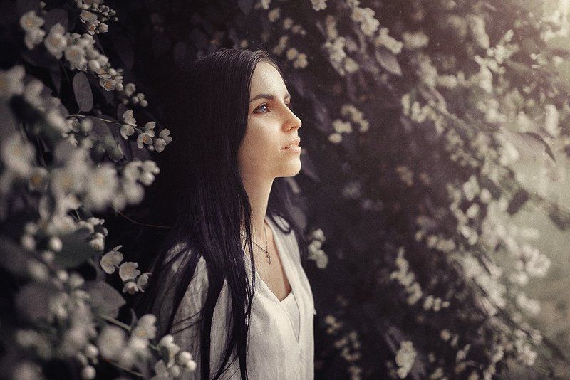 Поляphoto preview