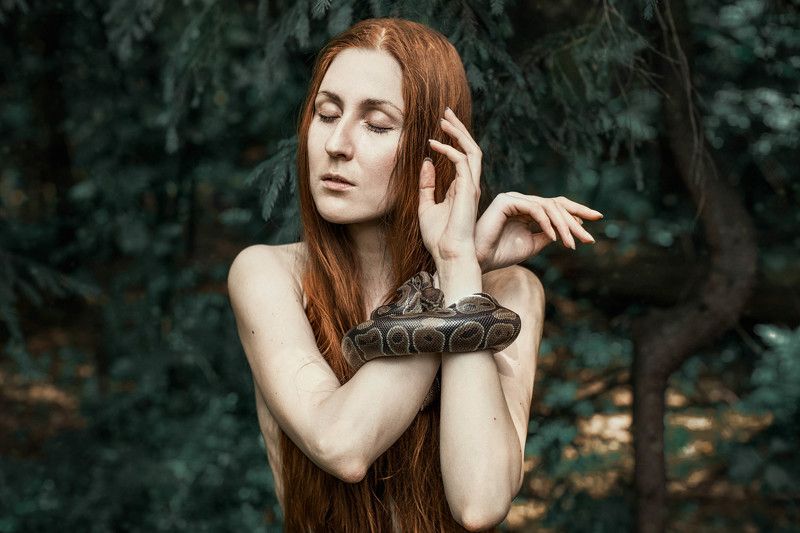 девушка, лес, змея, портрет, рыжая, арт, сказка photo preview