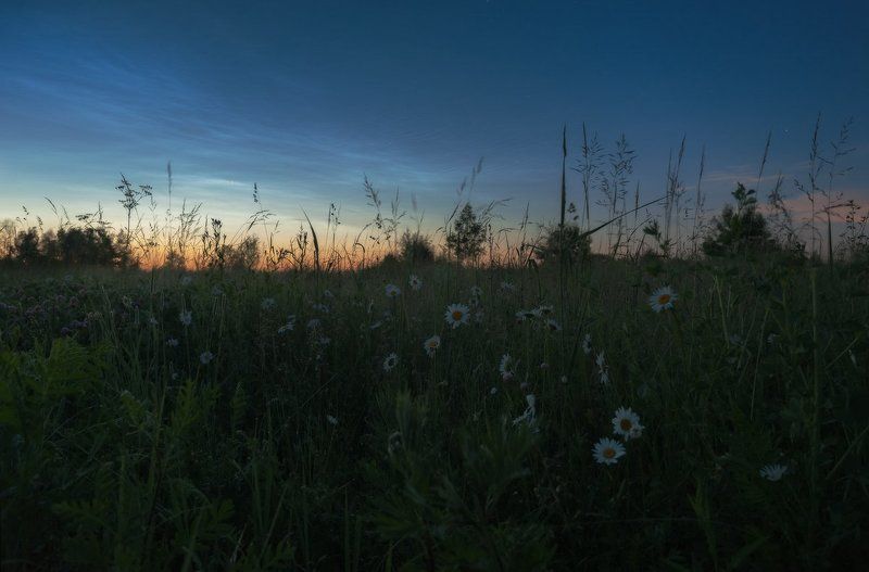 белые ночи, лето, серебристые облака, спасс косица, туман, подмосковье, верея Путешествие в ночном тумане IIphoto preview