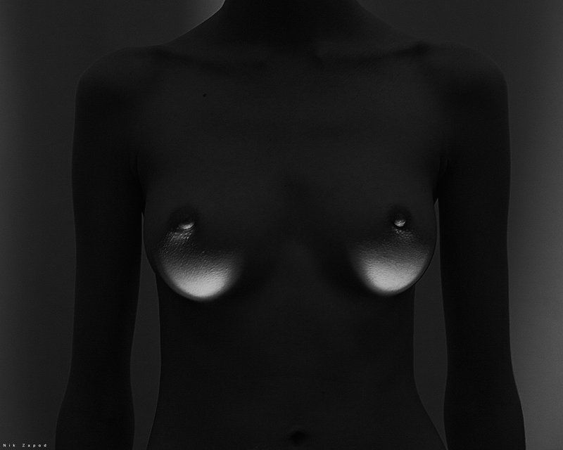 Taxidermy,ню,nikzapod Taxidermy #23photo preview