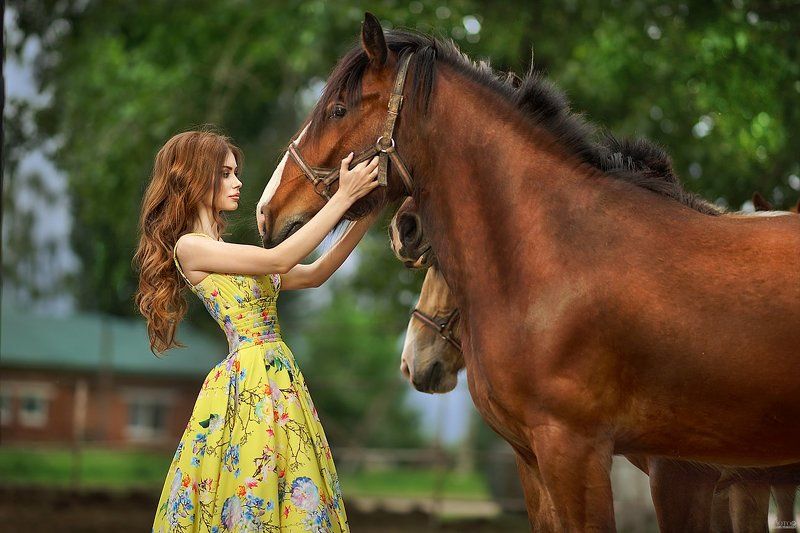 девушка, платье, фешн, гламур, спорт, волосы, лето, лошади Марьяшаphoto preview