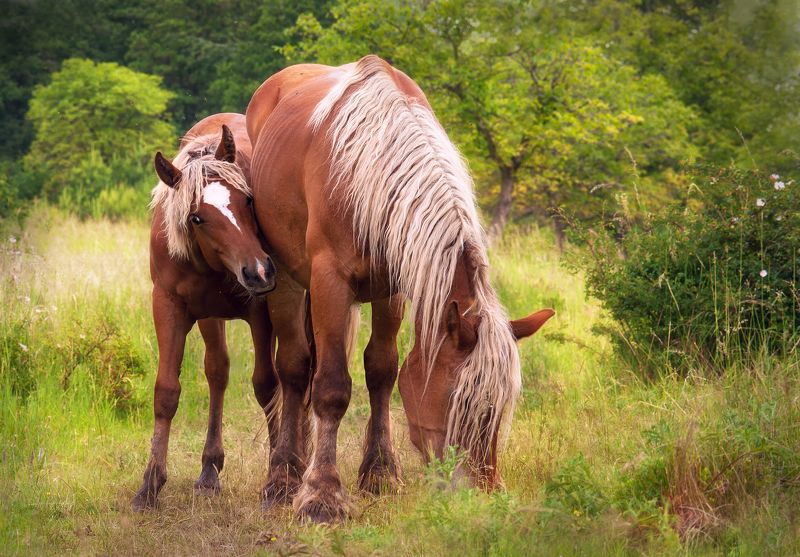 С мама всегда хорошоphoto preview