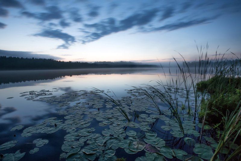 40 секунд тишиныphoto preview