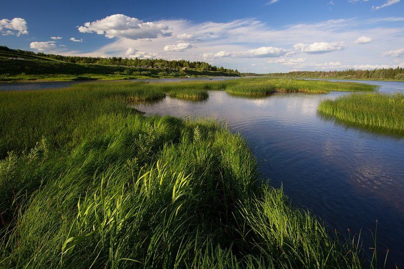 *******photo preview