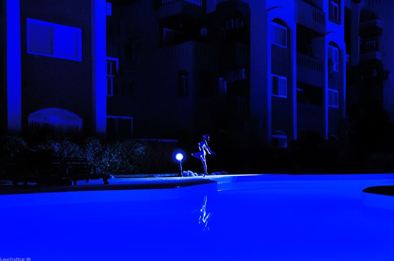 Butterflyphoto preview