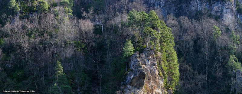 Борьба за жизньphoto preview