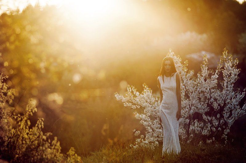 180mm, 85, 85 1.4, 85mm, Helios, Nikkor, Nikkor 180mm, Nikkor 85, Nikon d700 цветы закатаphoto preview