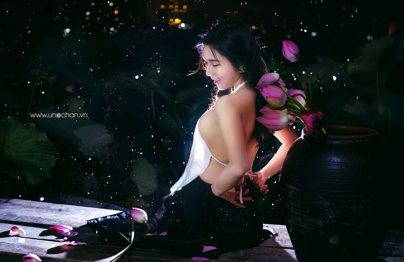lotus, sexy. night Night Lotusphoto preview