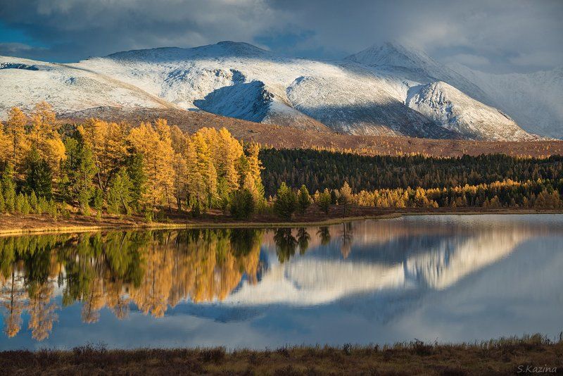 autumn, lake, landscape, mountain, mountains, горный алтай, горный пейзаж, горный_алтай, горы, киделю, озеро, осень, отражение, пейзаж, природа Озеро Киделюphoto preview