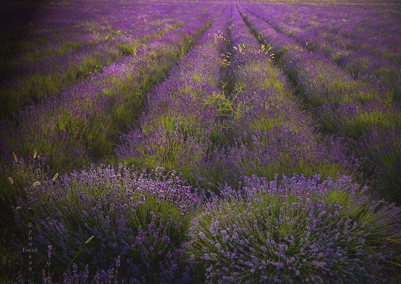 Крым. фото превью