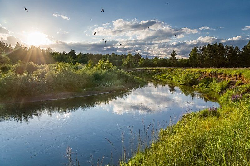 Стрижи на Киржачеphoto preview