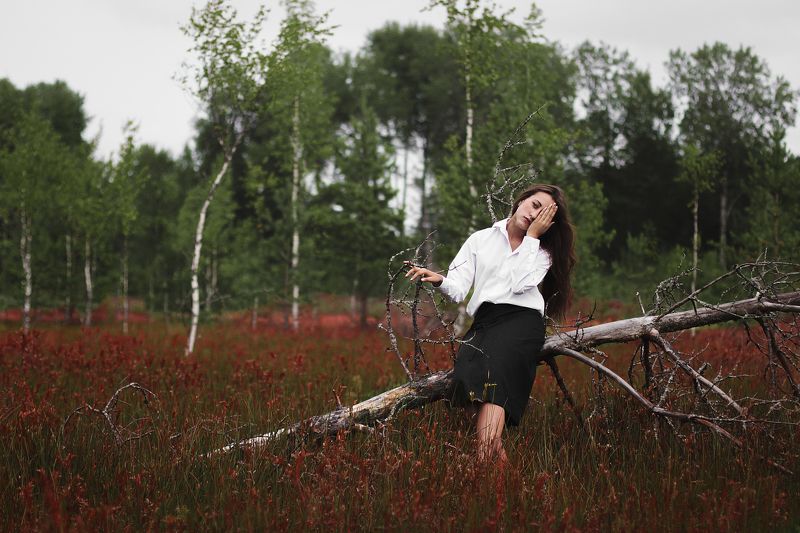 color, emotion, girl, photo, portrait, поле, портрет, портрет девушки, цвет, цветы Color Fantasyphoto preview