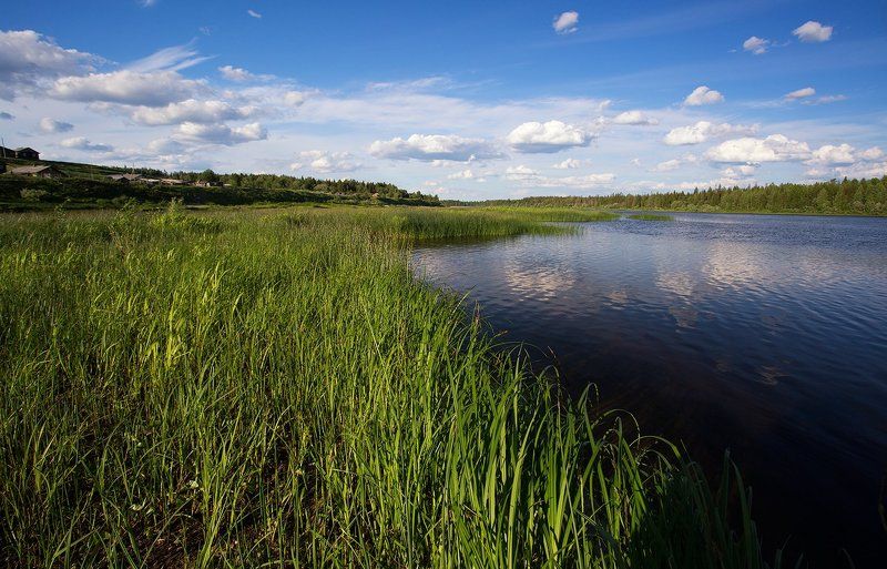 *******photo preview