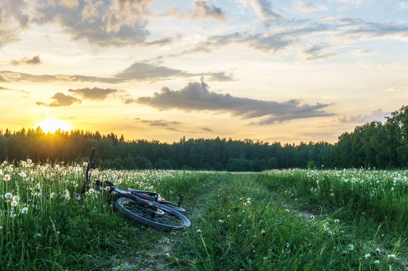 подмосковье новосельцево россия вело велосипед закат Вечерняя покатушка фото превью