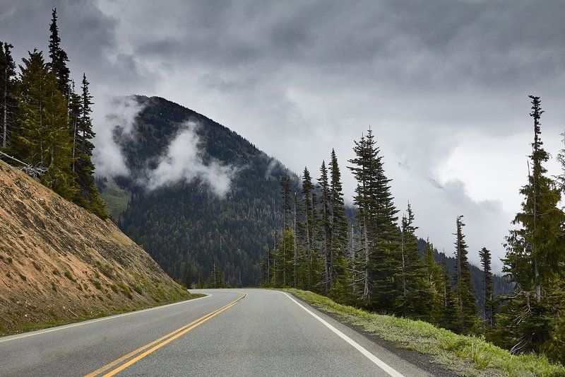 Clouds, Hurricane Ridge, Mountains, Olympic National Park, Road Mountain Road in Cloudsphoto preview