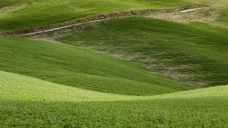 Green, I love you greenphoto preview