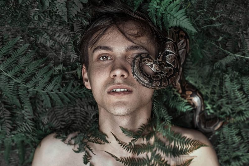 лес, змея, портрет, арт, сказка photo preview