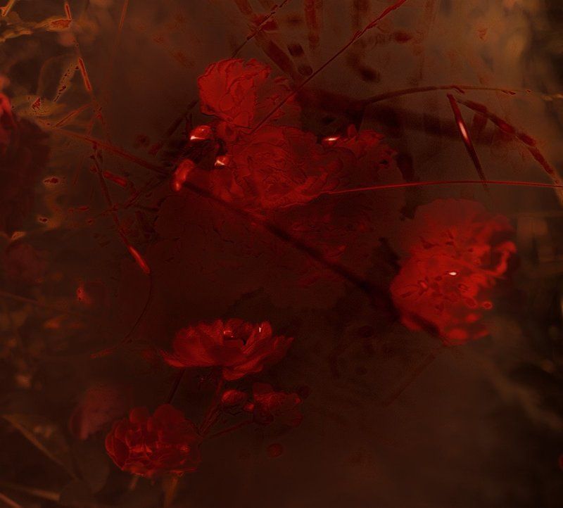 природа, линии, пятна, арт, настроение Dark rose фото превью