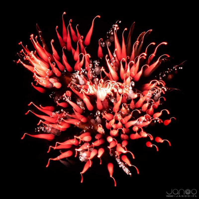 fireworks, lights, colours, night,  fireworx фото превью