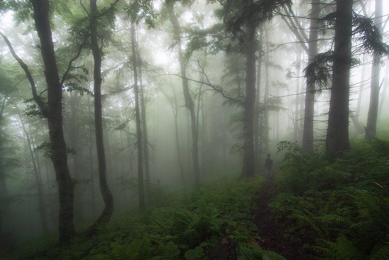 Туманные дебриphoto preview