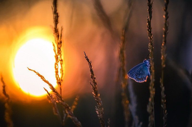 Тишинаphoto preview