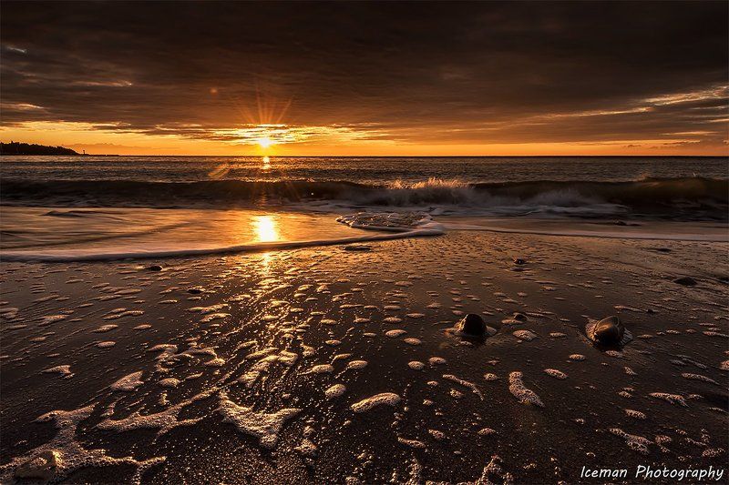 желтый утроphoto preview