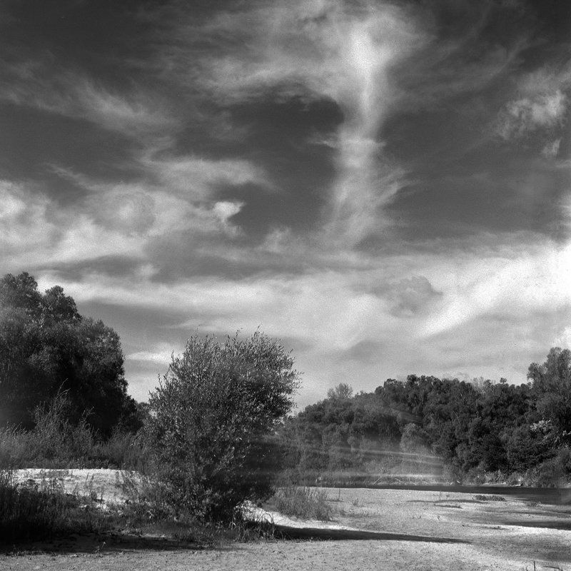 Лес., Пляж., Река. \