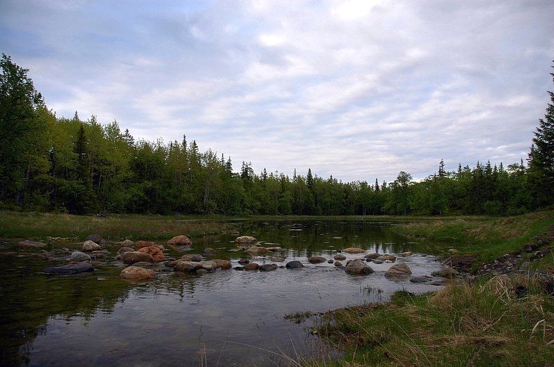 Соловкиphoto preview