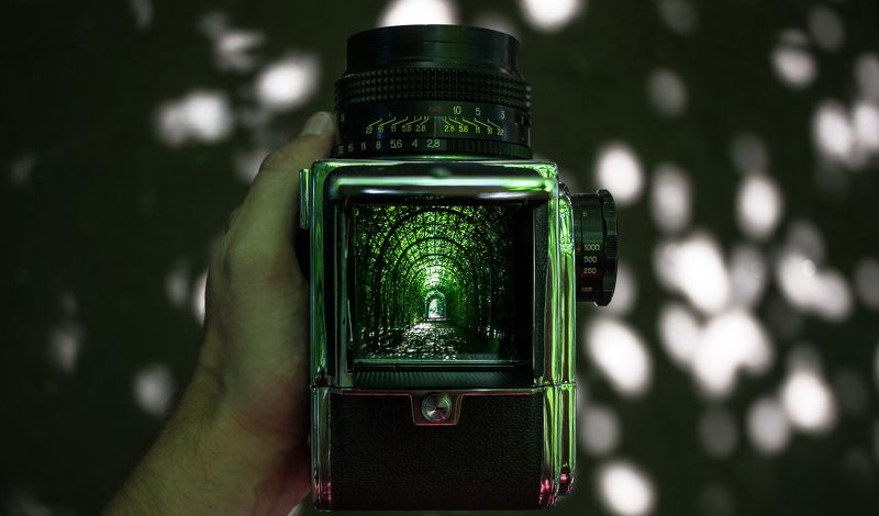 Летний садphoto preview