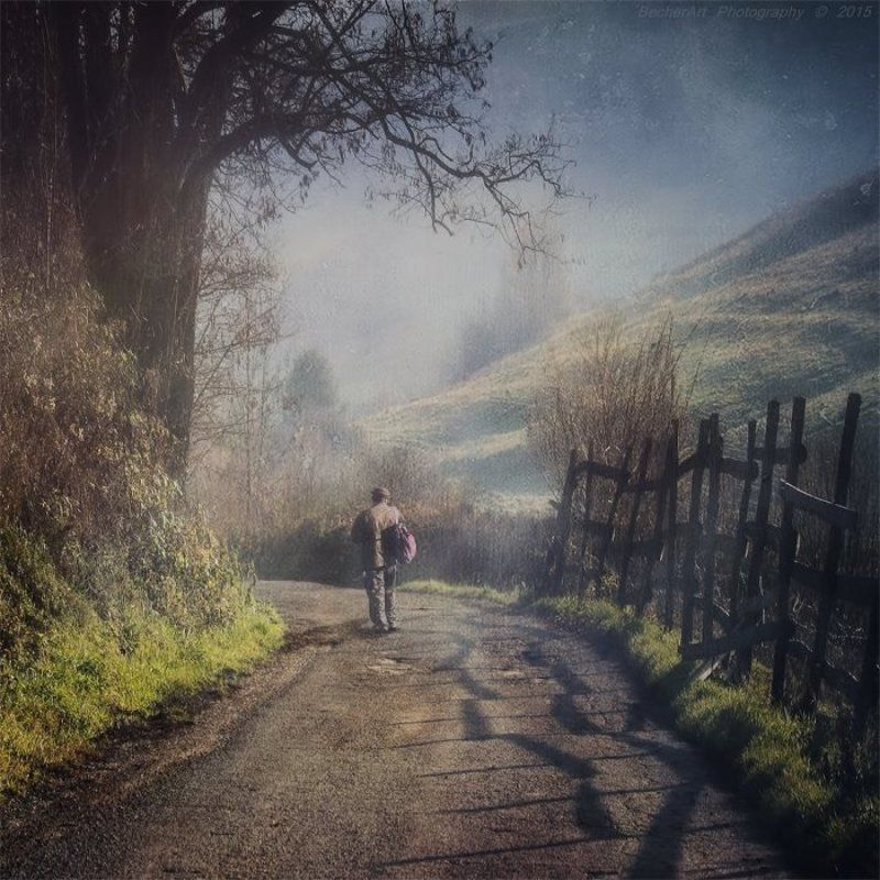 Say Goodbye XXIIphoto preview