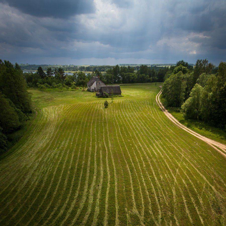 Summer lines. Автор: Eriks Zilbalodis , Eriks Zilbalodis