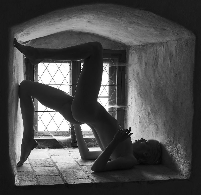 Ню,модель,пластика,грация Пластикаphoto preview