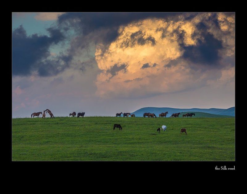 пастораль... про кумыз и баранинуphoto preview