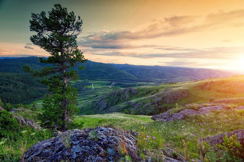 Башкирия, Горы, Дерево, Камни, Солнце *** фото превью