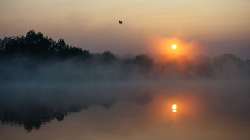 На рекеphoto preview