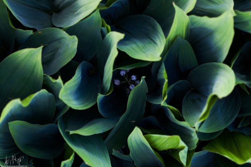 Летняя подборка цветовphoto preview