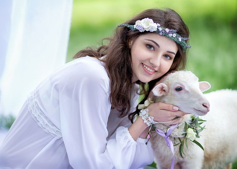 Утро провансphoto preview