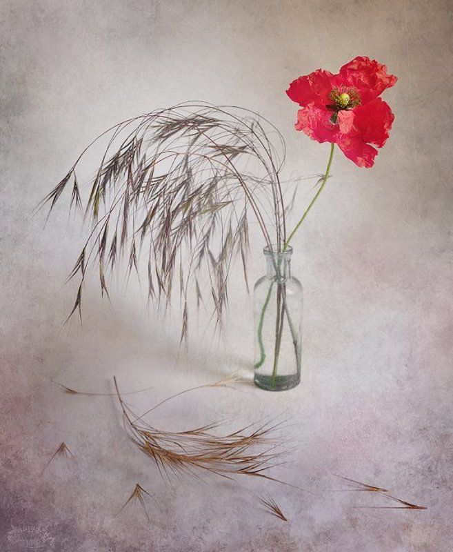 Ten jedynyphoto preview