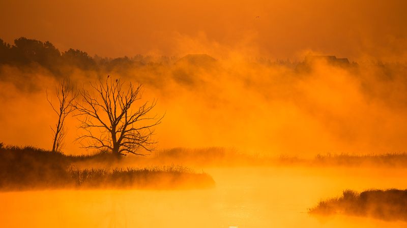 Рассвет, Река, Туман Оранжевое настроениеphoto preview