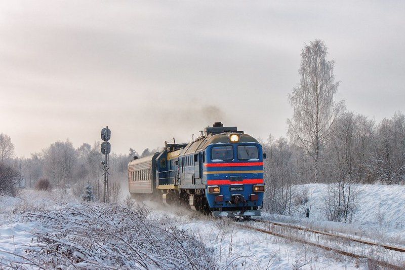 поезд, зима, снег, мороз, шлина, комсомольский, тверская область, дм62, м62, железная дорога ***photo preview