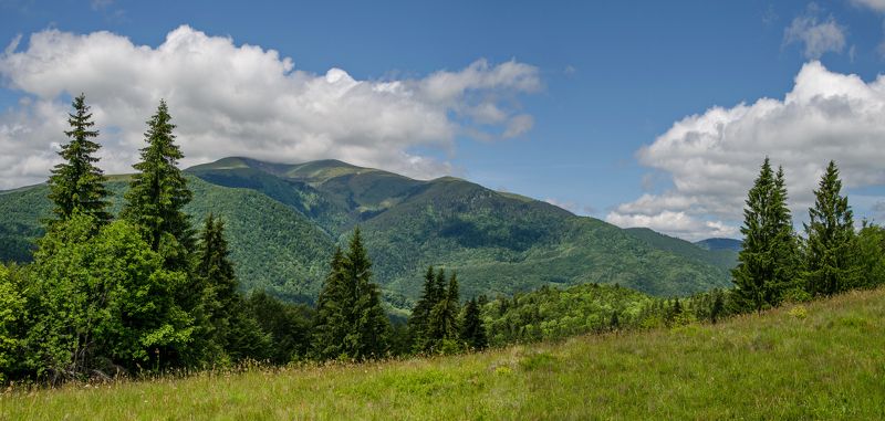 Закарпатье, Июнь, Квасы, Ясиня Закарпатьеphoto preview