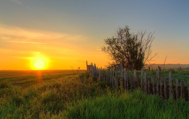 забор, лето, небо, облака, пейзаж, природа, рассвет, свет, солнце, трава Июньский рассветphoto preview