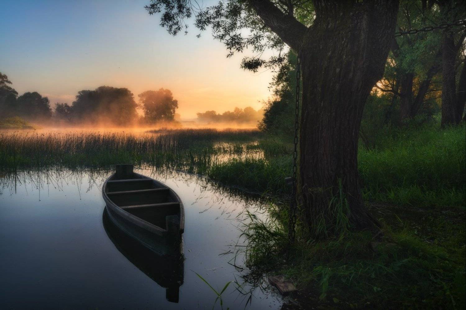 Сказочное утро. Автор: Жмак Евгений Дерево, Лодка, Лодки, Пейзаж, Пейзажнаясъемка, Пейзажное фото, Рассвет, Река Угра, Свет, Солнце, Туман, Угра, Утро, Жмак Евгений