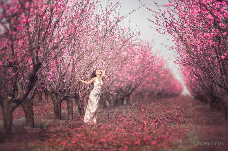 В весеннем садуphoto preview