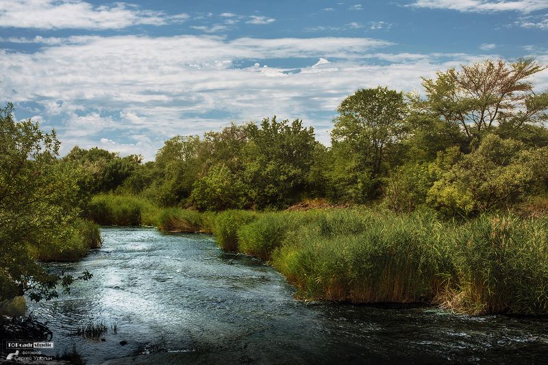 На мелководьеphoto preview