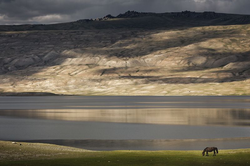 Горы, Монголия, Озеро, Пейзаж, Природа На озере Хотон-Нуурphoto preview